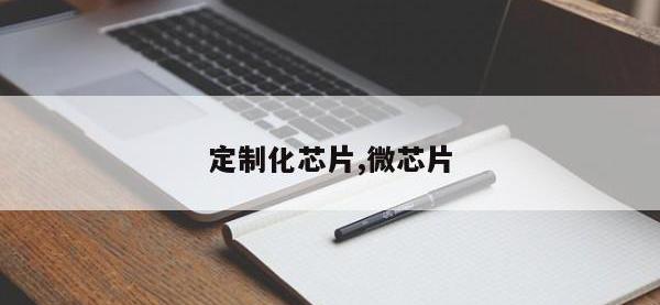 定制化芯片,微芯片