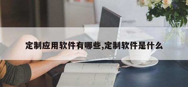 定制应用软件有哪些,定制软件是什么