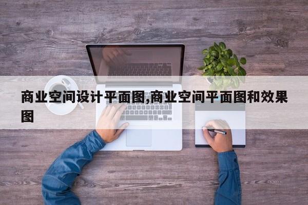 商业空间设计平面图,商业空间平面图和效果图