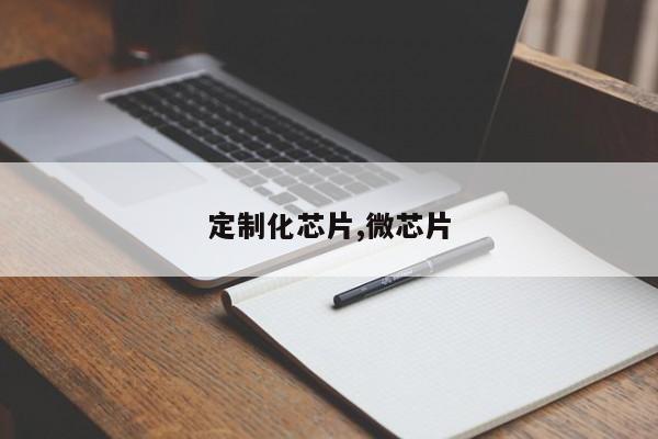 定制化芯片,微芯片