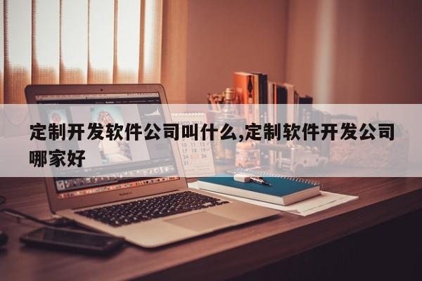 定制开发软件公司叫什么,定制软件开发公司哪家好